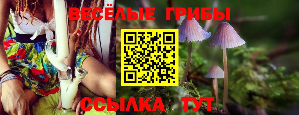 Галлюциногенные грибы Psilocybe  Вход с VPN  Лянтор 